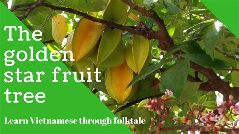 The Golden Star Fruit - A Tale of Transformation, Resilience, and Culinary Delight?